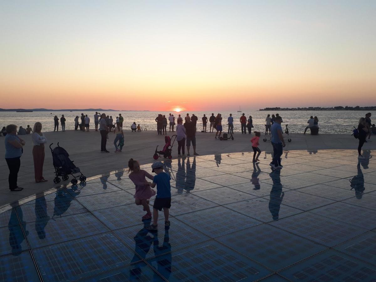 Apartman Homey Zadar