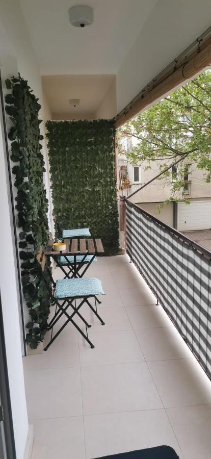 Homey Apartment